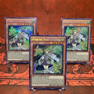 遊戯王【英語版】風霊媒師ウィン シク 3枚セット