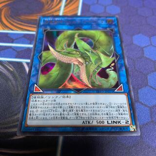 捕食植物ヴェルテ・アナコンダ ウルトラレア