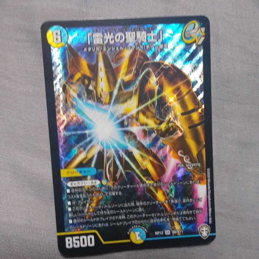 「雷光の聖騎士」