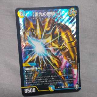 「雷光の聖騎士」