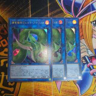 捕食植物ヴェルテ・アナコンダ ウルトラレア(3枚)