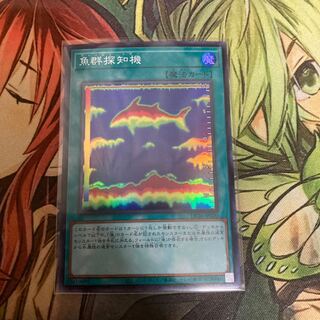 Fish Finder Super Rare