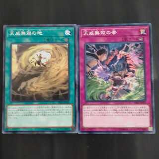 天威無崩の地　天威無双の拳　【木林堂】