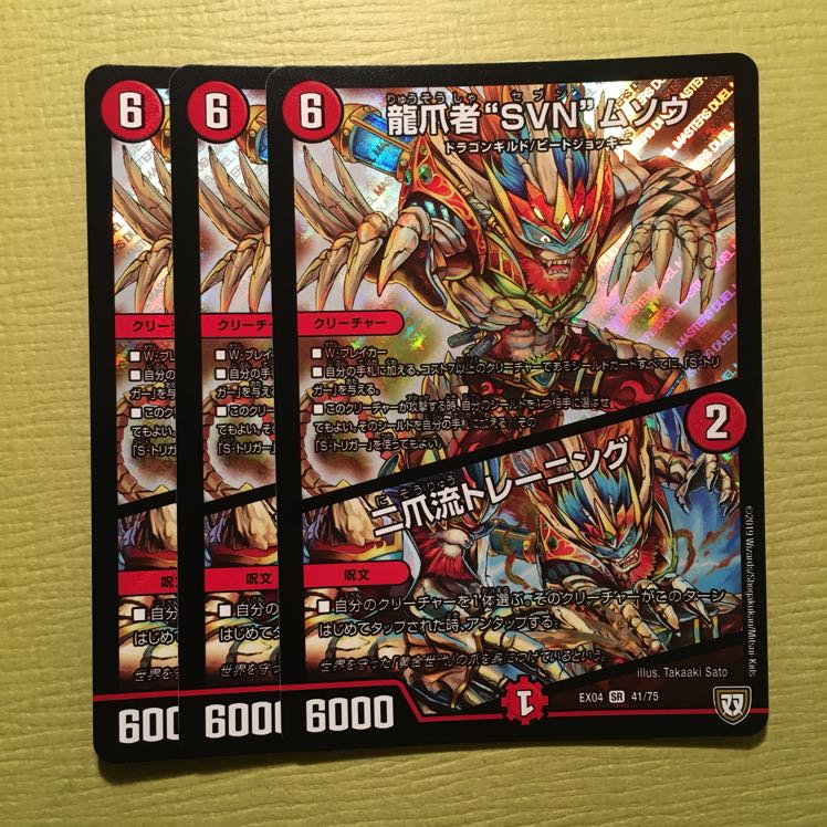 龍爪者"SVN"ムソウ/二爪流トレーニング