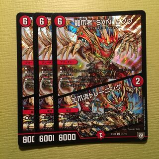 龍爪者"SVN"ムソウ/二爪流トレーニング