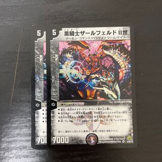 黒騎士ザールフェルドII世