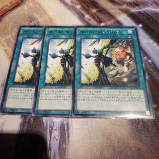 【願い事】神の写し身との接触 3枚 字レア