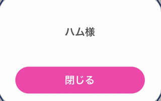 Exclusive Blissey bag for Mr. Ham