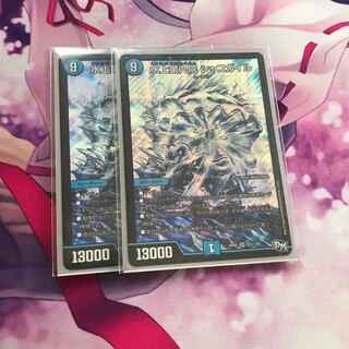 水上第九院 シャコガイル