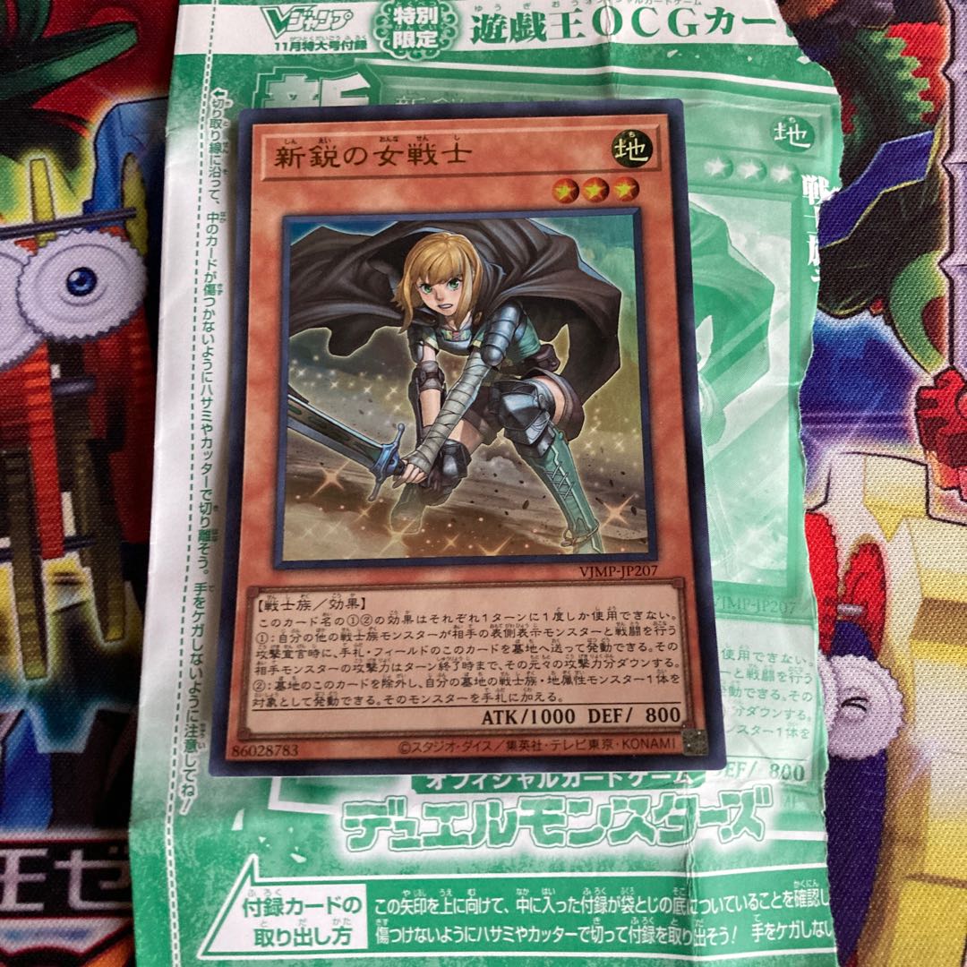 Ｖジャンプ　新鋭の女戦士