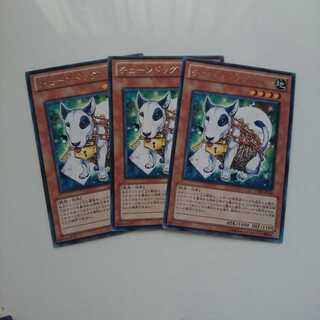 チェーンドッグ レア の激安通販 Magi トレカ専用フリマアプリ