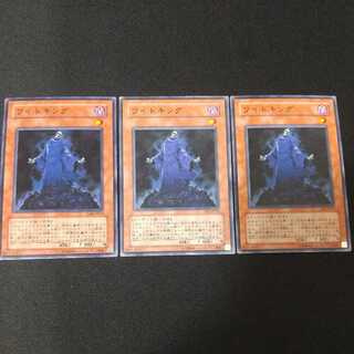 ワイトキング ノーマル EE3×2 TLM×1