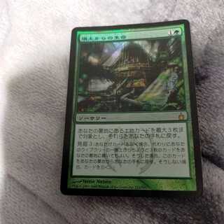 スラりん様専用