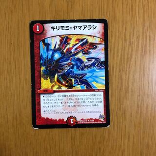 キリモミヤマアラシ