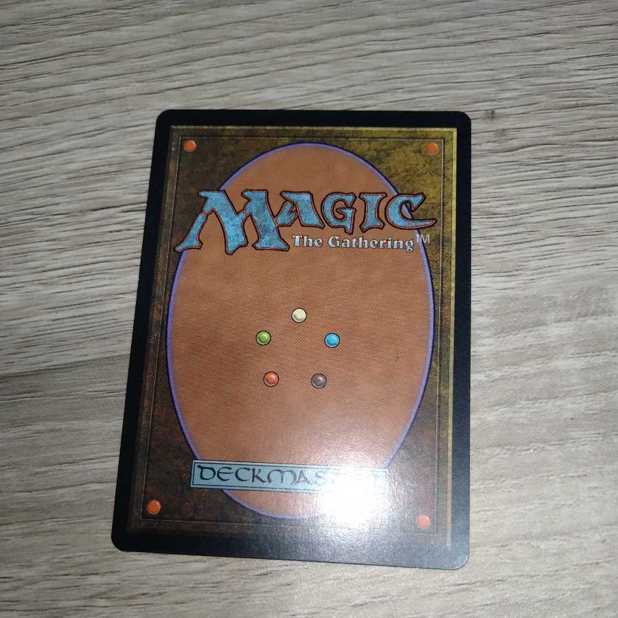 直観　日本語　mtg