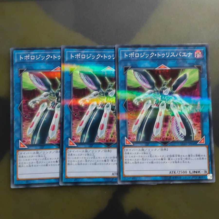 トポロジック・トゥリスバエナ✕3 パラレル ノーマル 【木林堂】