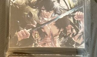 ラピスさん専用　鬼滅の刃　スリーブ