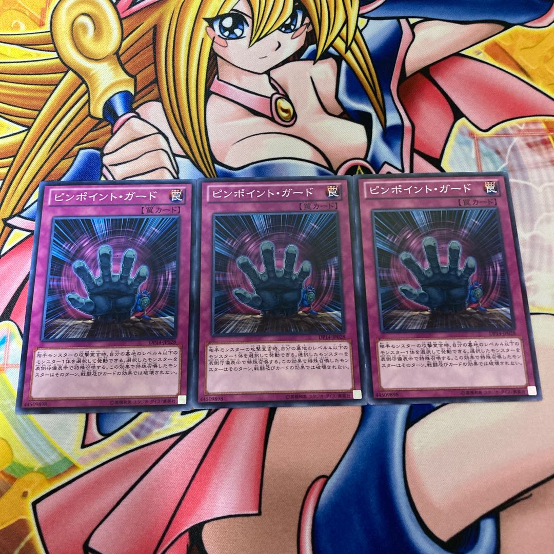 ピンポイント・ガード