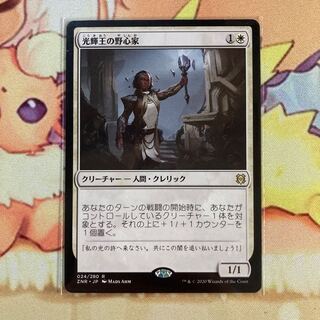 光輝王の野心家　