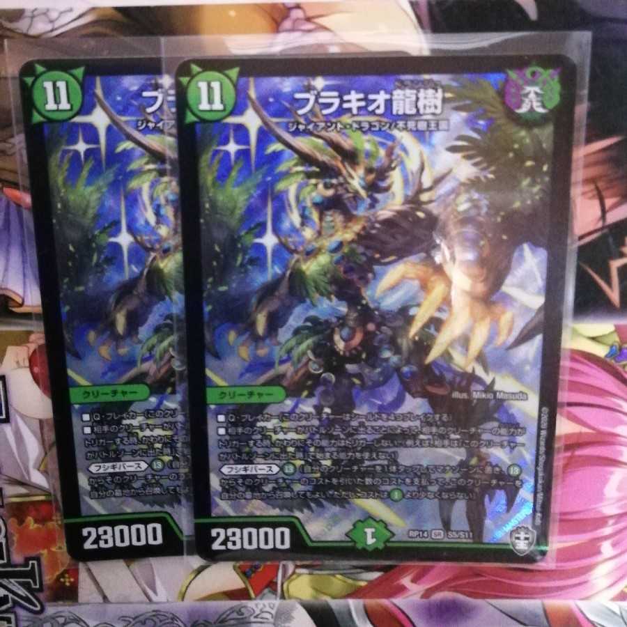 ブラキオ龍樹 2枚セット