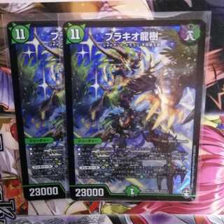 ブラキオ龍樹　2枚セット