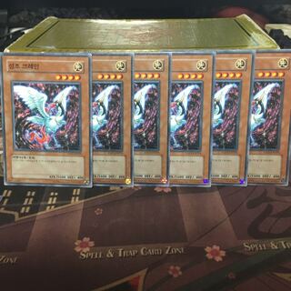 聖鳥クレイン 6枚 韓国版