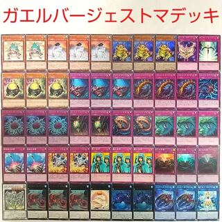 【遊戯王 デッキ】バージェストマアノマロカリス バージェストマディノミスクス