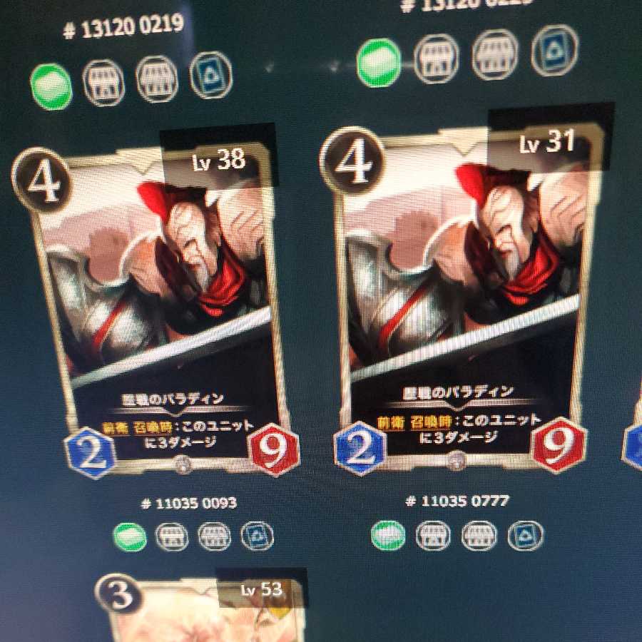 歴戦のパラディン2枚セット