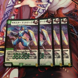 Momostar Kentonarch, 4 pieces