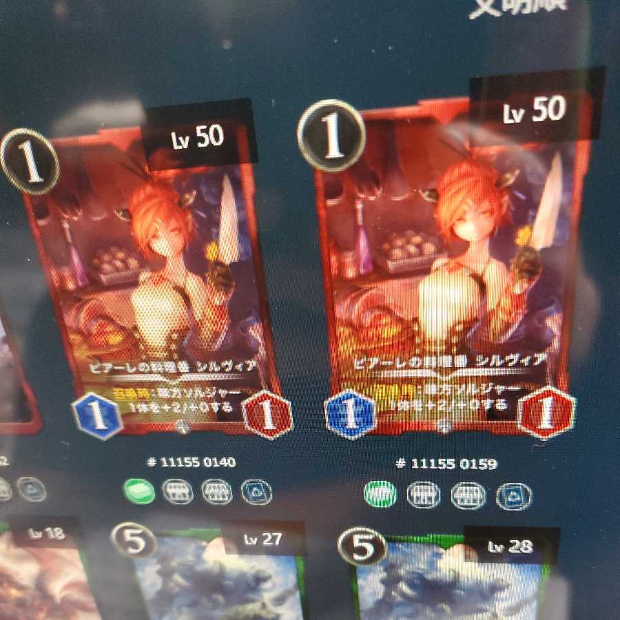 ピアーレの料理番シルヴィア2枚セット