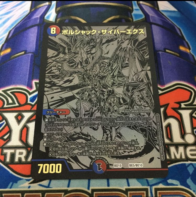 Borshak Cyberex Sikh