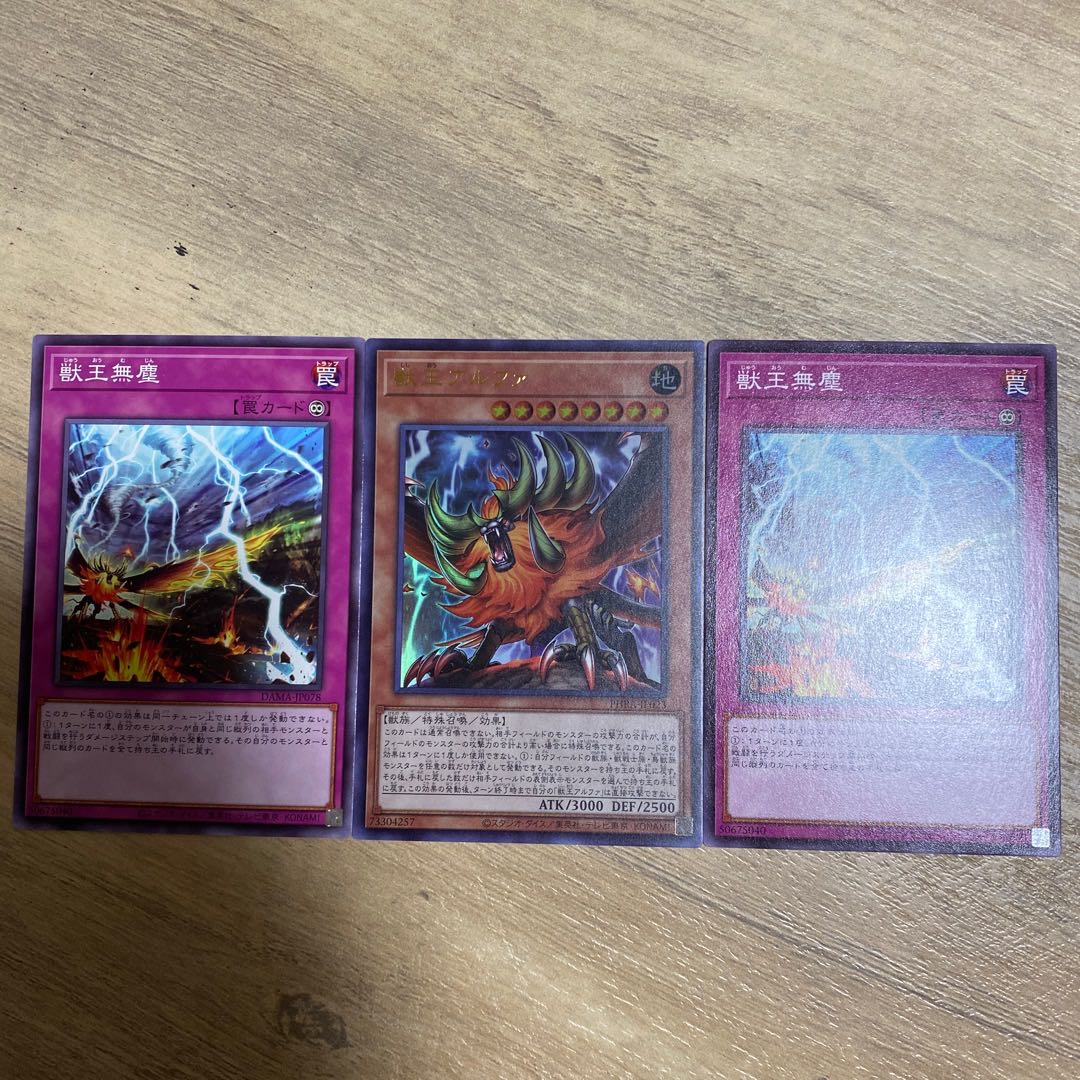 獣王アルファ セット