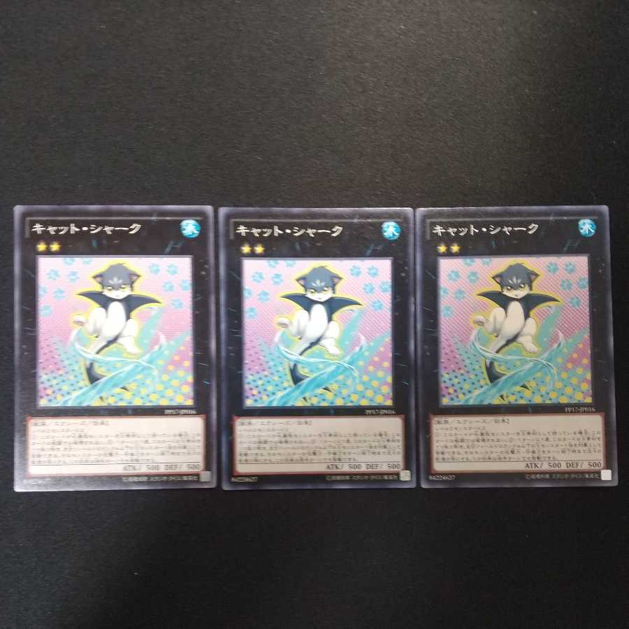 Cat Shark Normal PP17