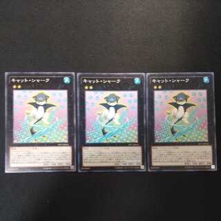 Cat Shark Normal PP17