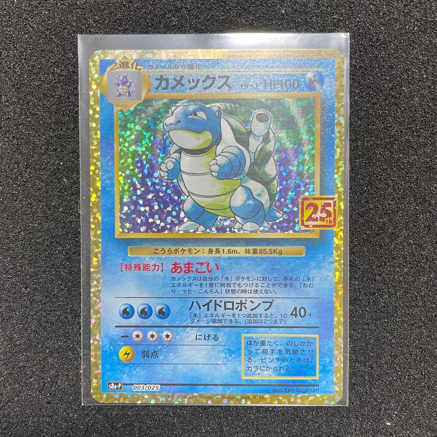 カメックスプロモ　25th