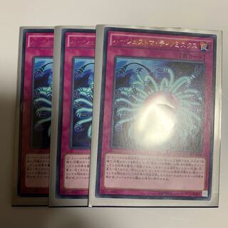 バージェストマ・ディノミスクス 3枚