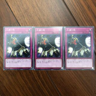 大捕り物3枚セットを2セット