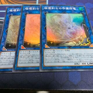 Protector Whelp of the Destruction Swordsman Super Rare