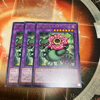 捕食植物キメラフレシア レア　3枚