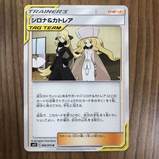 同梱で値下げあり　シロナ&カトレア