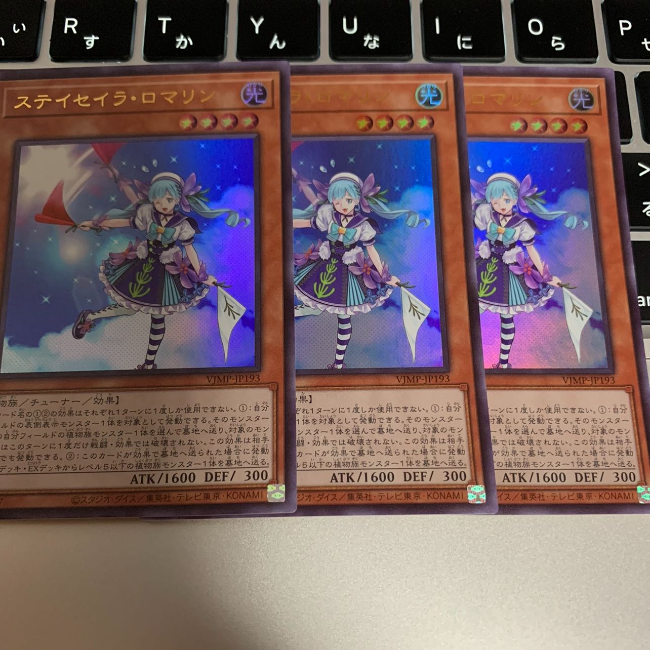 ステイセイラロマリン