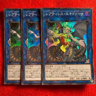 レプティレス・エキドゥーナ☆3962