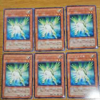 緑光の宣告者 レア6枚