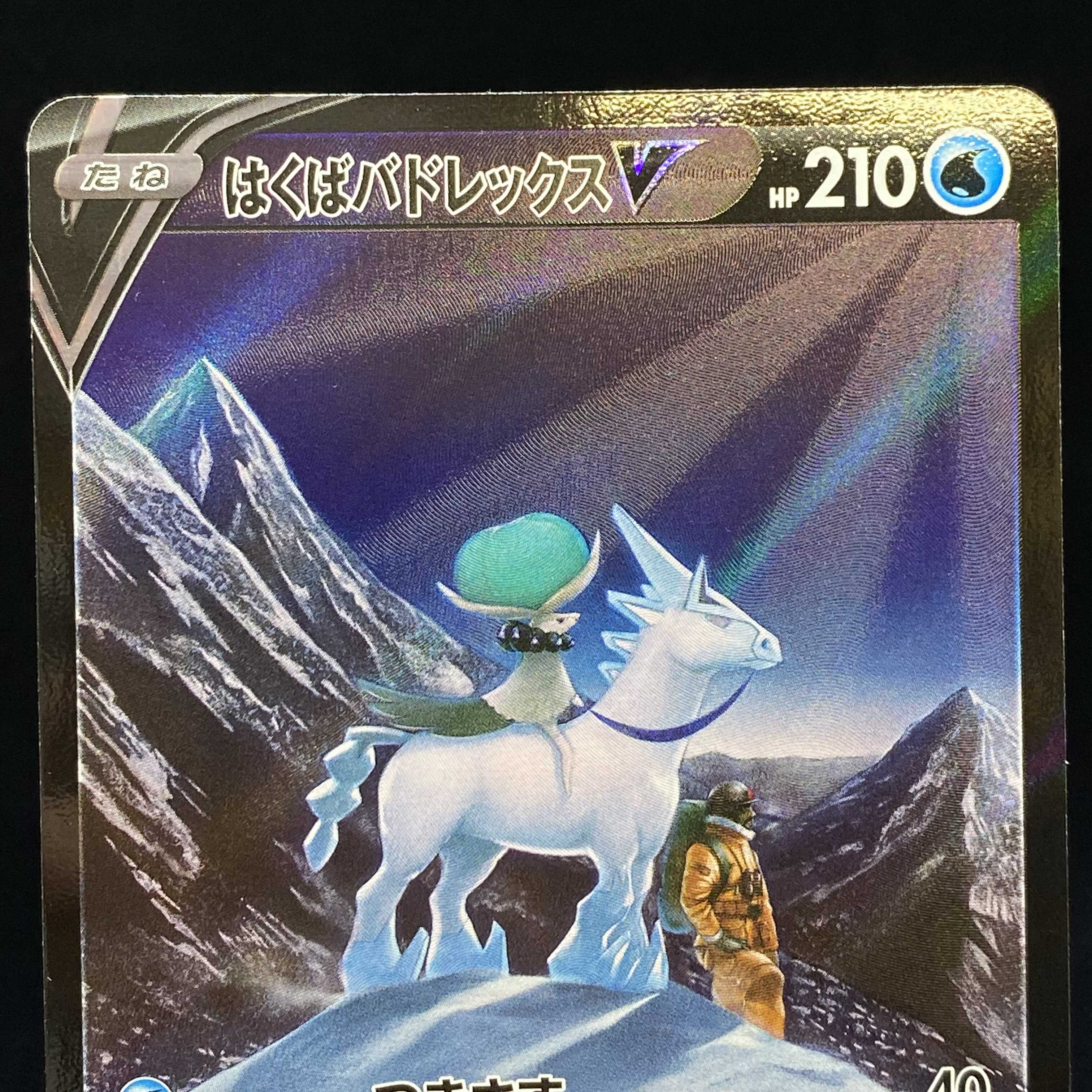 Hakuba Budrex V CSR VMAX Climax