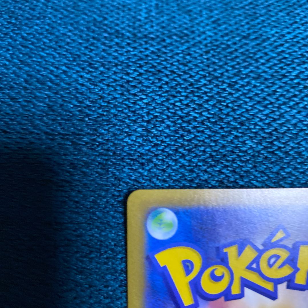 ガラルの仲間たち SR