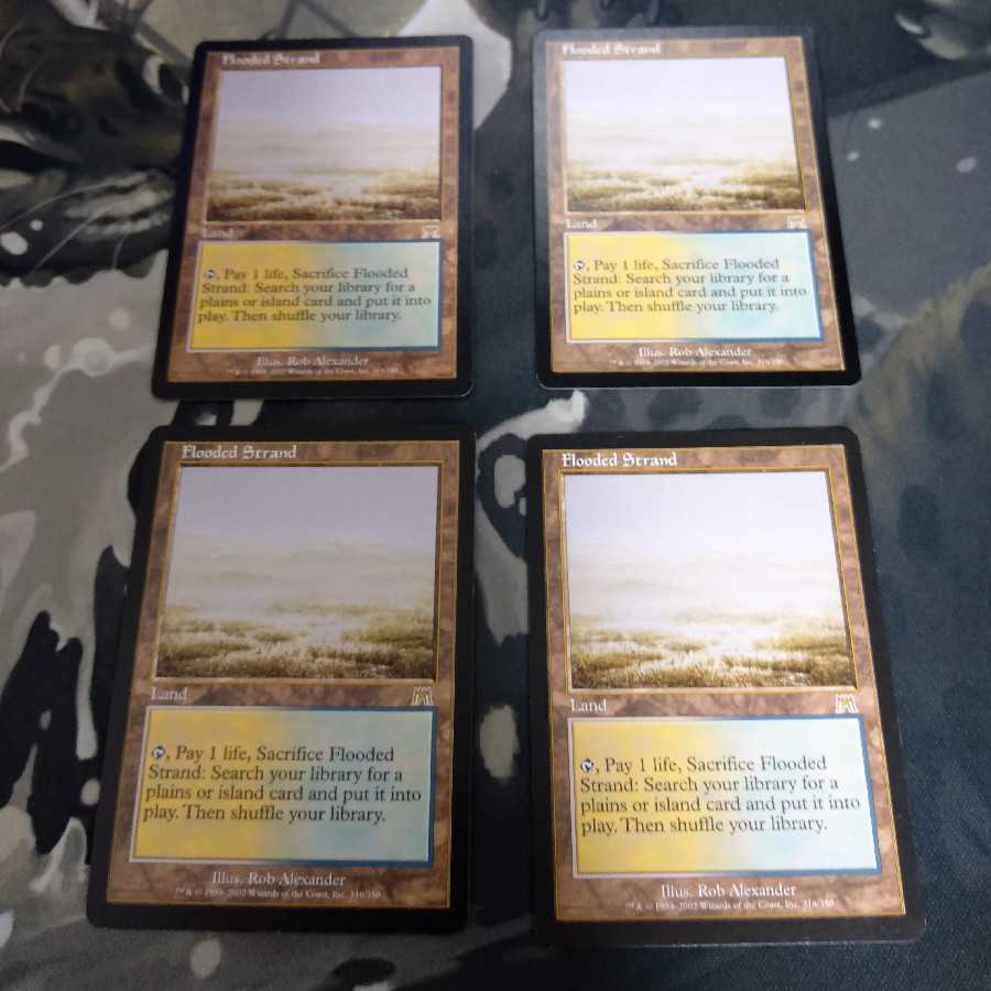 【最終値下げ】溢れかえる岸辺　4枚セット