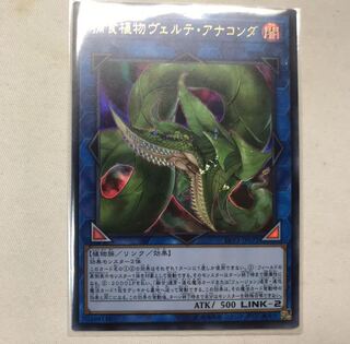 捕食植物ヴェルテ・アナコンダ