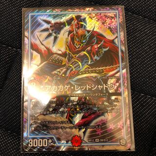 アカカゲ・レッドシャドウ　最安値