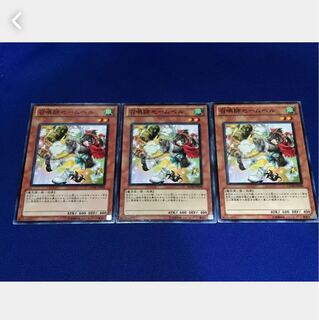 【ぽぽたん】遊戯王 召喚師セームベル 3枚セット