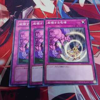 威嚇する咆哮 3枚